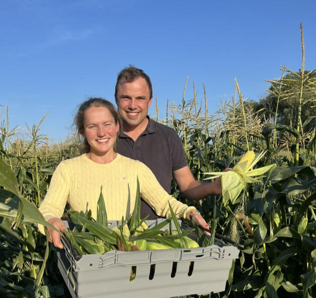 Caroline och Linus Perdegård med nyskördad sockermajs i majsfältet